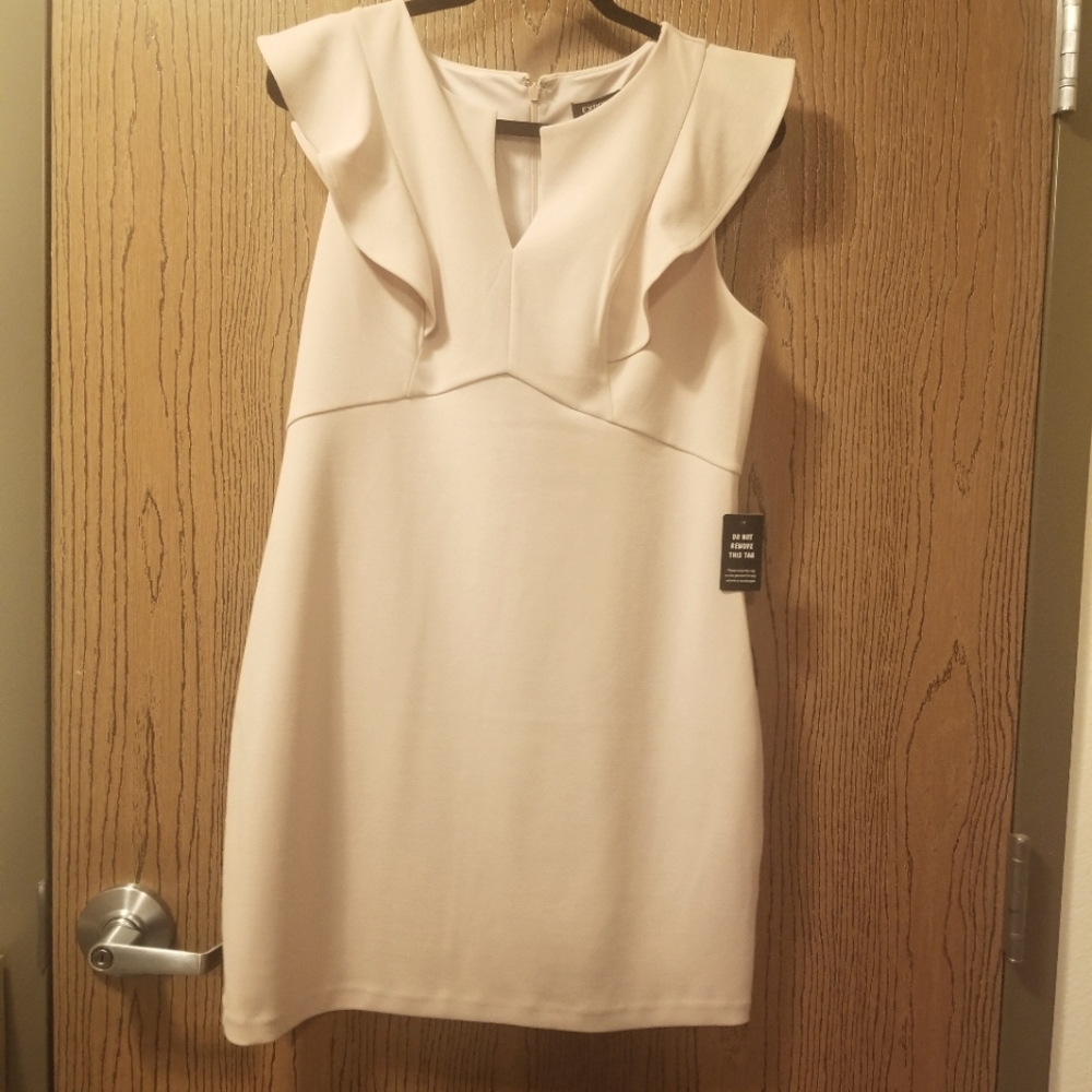 Express Pale Pink "Angel-Winged" Dress